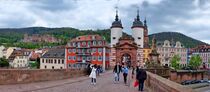 Heidelberger Schlossblick von Edgar Schermaul