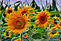 abstrakte Sonnenblumen by Edgar Schermaul