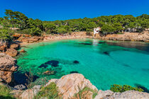 Mallorca, idyllic bay beach Cala Gat in Cala Ratjada, Spain, Balearic islands von Alex Winter