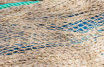 Maritime background texture, close-up of fish net pattern von Alex Winter