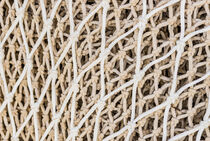 Commercial fishing net at harbor, close-up by Alex Winter