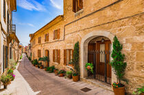 Street with potted plants in Alcudia on Mallorca, Spain von Alex Winter