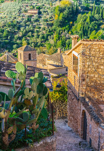 Majorca, beautiful old village of Fornalutx, Spain, Balearic Islands von Alex Winter