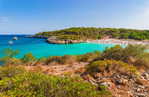 Mallorca island, beautiful beach bay Cala SAmarador, Spain by Alex Winter