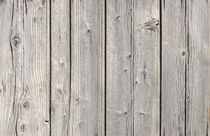 Old gray weathered wood planks background texture von Alex Winter