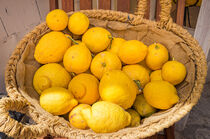 Basket full of organic yellow lemons on market by Alex Winter