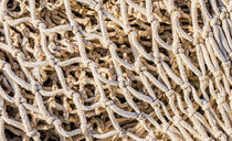 Vintage fish net maritime background texture by Alex Winter