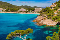 Canyamel bay, beach on Majorca beautiful coastline, Spain, Balearic Islands by Alex Winter