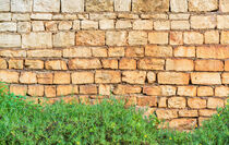 Old rustic stone wall background texture with green plant von Alex Winter