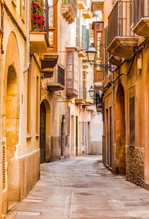 Palma de Majorca, street in the old town, Spain by Alex Winter