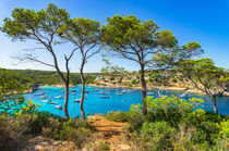 Portals Vells, bay with yachts and boats at seaside of Majorca, Spain, Balearic Islands by Alex Winter