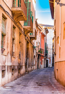 Palma de Mallorca, street in the old town, Spain by Alex Winter