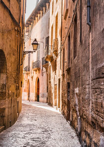 Narrow street at the old town of Palma de Majorca, Spain, Balearic Islands by Alex Winter