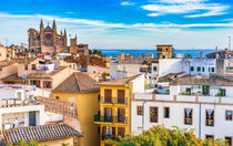 Old town Palma de Mallorca with view of the famous Cathedral La Seu, Spain, Majorca von Alex Winter