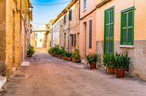 Old town of Alcudia with view of the historical surrounding wall, Majorca Spain by Alex Winter