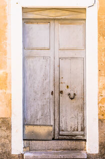 Old gray wooden front door background von Alex Winter