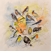 Die Vogeluhr by Claudia Pinkau