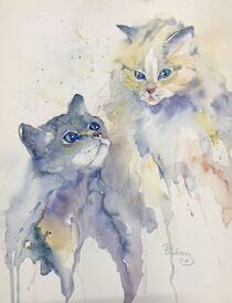 Zwei Kätzchen by Claudia Pinkau