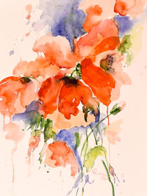 Mohnblüten von Claudia Pinkau