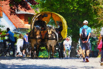Pferdekutsche in Kloster. Insel Hiddensee. Ostsee gemalt. von havelmomente