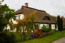 Reedhaus aus Insel Hiddensee. Bauerngarten. Gemalt. von havelmomente