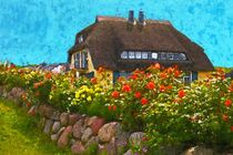 Reeddachhaus mit Dahlengarten. Insel Rügen gemalt. by havelmomente