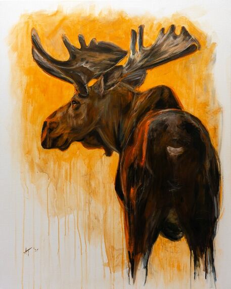 Druck-elch-elk-moose