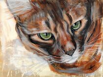 Katze, cat, tiermalerei, art by Annett Tropschug
