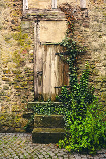 Die alte Tür by Claudia Evans