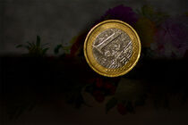 Financial : Flower currency von Michael Naegele