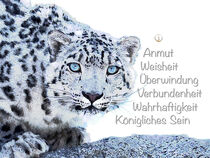 Krafttier Schneeleopard - Königliches Sein von Astrid Ryzek