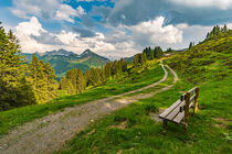 Wanderpfad in Vorarlberg by mindscapephotos