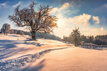 Winterlandschaft von mindscapephotos