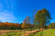 Herbstspaziergang in ländlicher Umgebung in Schweden