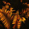Close-up-of-fern-leaves-in-moody-colors