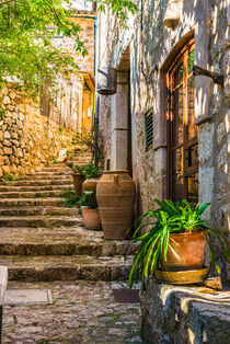 Mediterranes Haus mit Topfpflanzen und Weg mit Steintreppe by Alex Winter