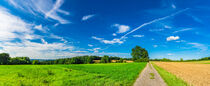 Landscape panorama of dirt road along rural fields and cloudy blue sky by Alex Winter