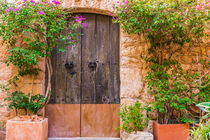 Old wooden front door with potted plants decoration of a mediterranean house, close-up  by Alex Winter