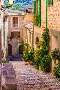 Schöne Straße mit Topfpflanzen im alten mediterranen Dorf Fornalutx auf Mallorca, Spanien von Alex Winter