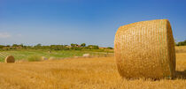 Panorama of harvested field with straw bales von Alex Winter