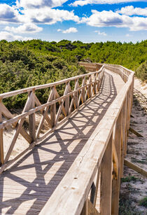 Mallorca, Holzbrücke durch die Sand-Dünen Landschaft in der Bucht von Alcudia von Alex Winter