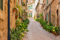 Mallorca, street with typical potted plants in Valldemossa, Spain von Alex Winter