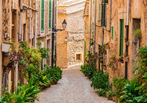 Majorca Spain, idyllic plant street in the old village Valldemossa by Alex Winter