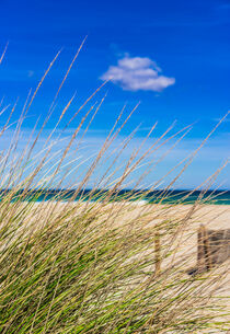 Sand dunes with marram grass by Alex Winter