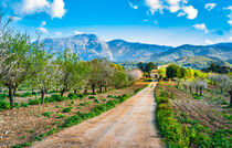 Mallorca, beautiful spring day with idyllic landscape scenery von Alex Winter