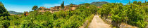 Mallorca, panorama view of old mediterranean village Fornalutx von Alex Winter