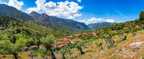 Majorca, Fornalutx village with beautiful mountain landscape panorama of Sierra de Tramuntana, Spain von Alex Winter