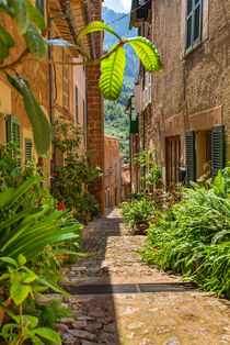 Beautiful street with typical flower pots decoration in the old village Fornalutx, Mallorca, Spain  von Alex Winter