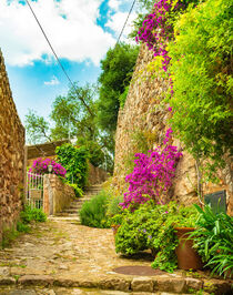 Mallorca, idyllic view of beautiful flowers street in old village of Fornalutx, Spain by Alex Winter
