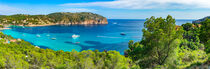 Majorca, panorama view of Camp de Mar, beautiful bay coast, Mediterranean Sea Spain von Alex Winter
